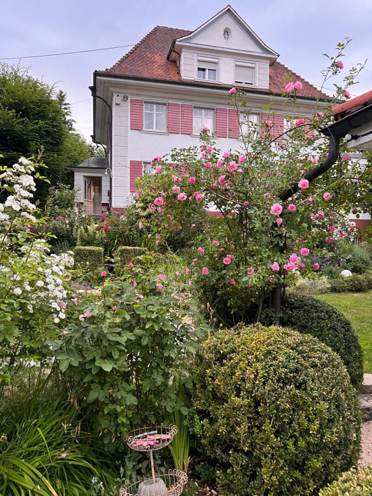 Niedereschach B&B Rosenliebe المظهر الخارجي الصورة